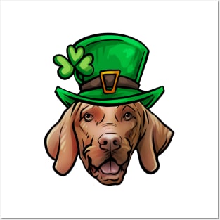 St Patricks Day Vizsla Posters and Art